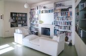 with fireplace, books, and music collection