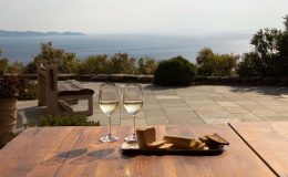 sht_outdoor_cheeseandwine_moments_MG_1376-copy-1024x682